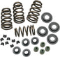 Beehive Conversion Spring Kit Evo Bt 84 03 .650 Lift