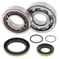 Crankshaft Bearing / Seal Kit Gas