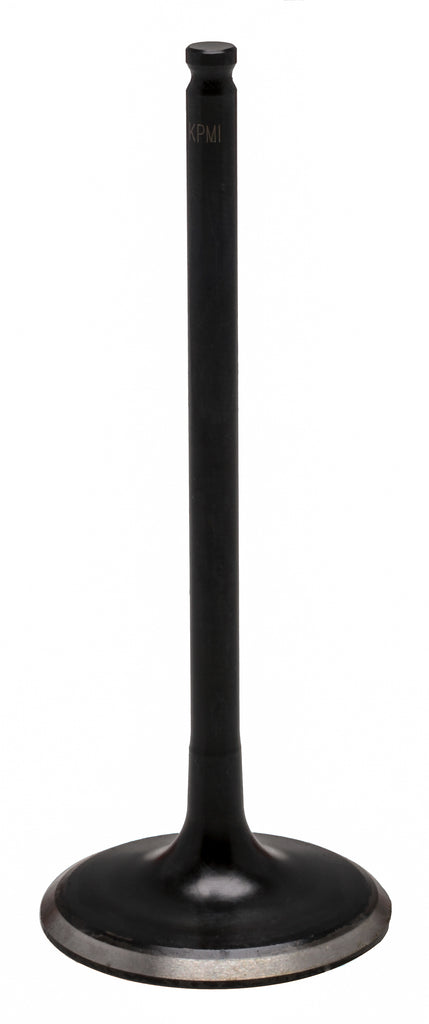 Black Diamond Intake Valve