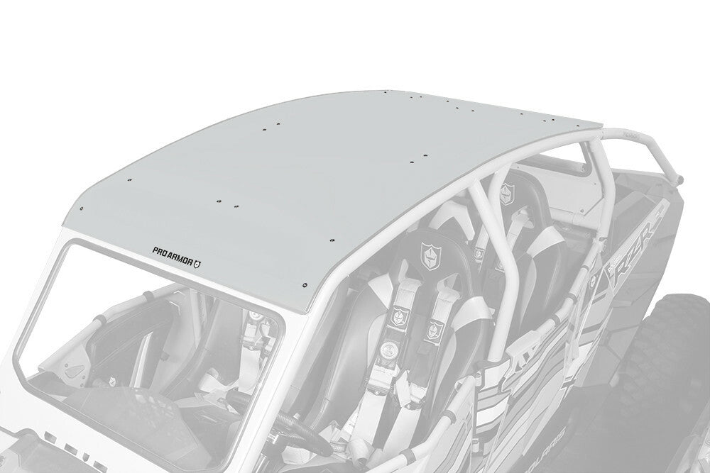 Asylum Roof Titanium Matte Metallic