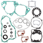 Complete Gasket Set With Oil Seals