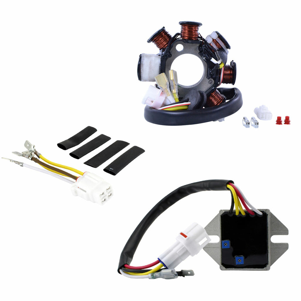100w Ac To DC Conversion Kit Stator+Regulator