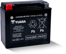 Load image into Gallery viewer, Battery Ytx20 Sealed Factory Activated