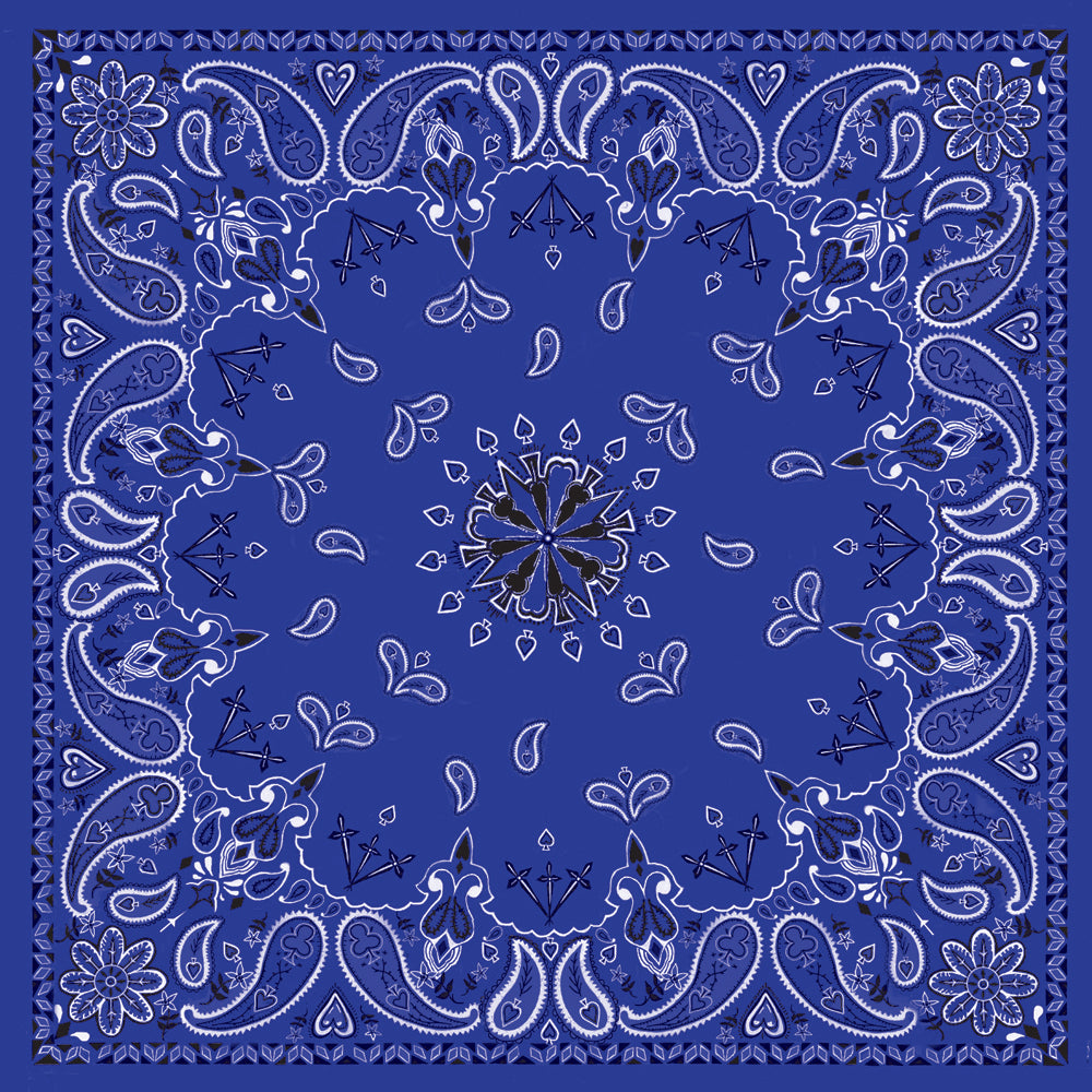 Bandanna Navy Paisley