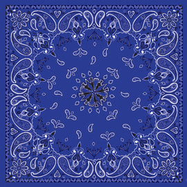 Bandanna Navy Paisley