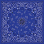 Bandanna Navy Paisley