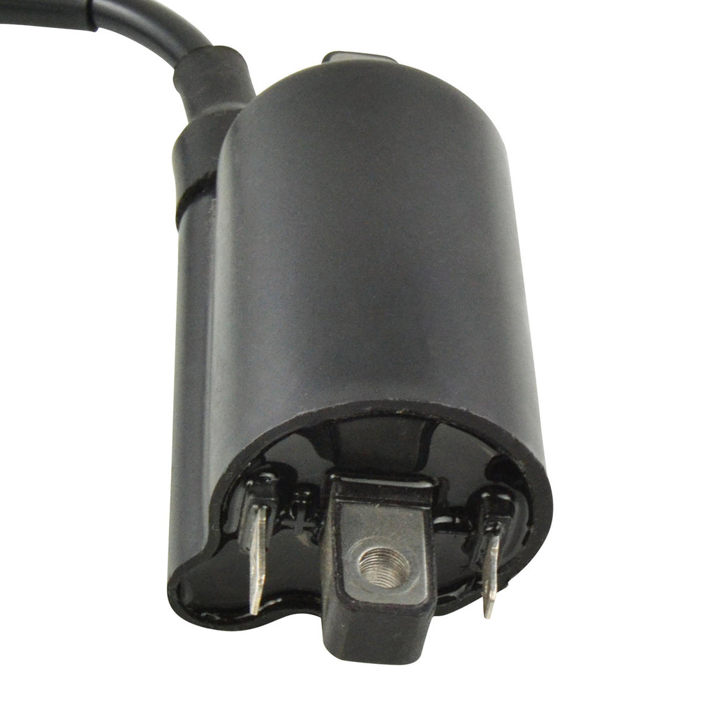 External Ignition Coil