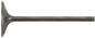Intake Valve Titanium
