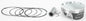 Piston Kit Armorglide 99.50/+0.50 10.2:1 Pol