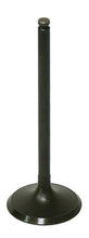 Load image into Gallery viewer, Intake Valve
