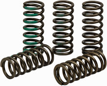 Load image into Gallery viewer, Clutch Spring Kaw