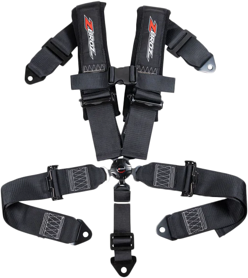 3" 5 Point Cam Lock Harness