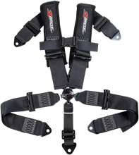 Load image into Gallery viewer, 3" 5 Point Cam Lock Harness