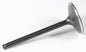 Black Diamond Intake Valve