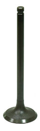 Intake Valve