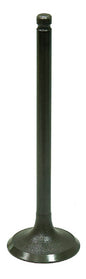Intake Valve