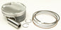 Piston Kit Armorglide 99.00/Std 10.2:1 Pol