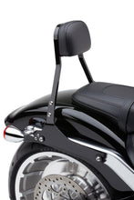 Load image into Gallery viewer, Detachable Backrest Mini Black Fxfb/S 18 25