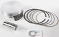 Piston Kit Armorglide 103.00/+1.00 10:1 Hon