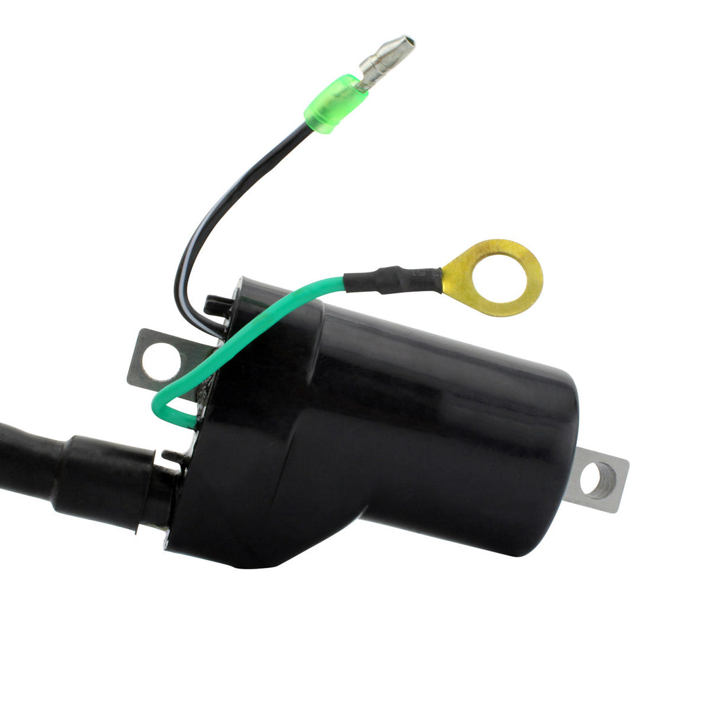 External Ignition Coil W/Spark Plug Cap