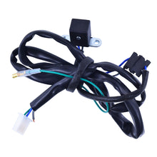 Load image into Gallery viewer, Stator Stator+Pickup+Connector