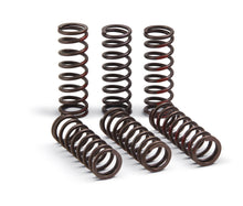 Load image into Gallery viewer, Clutch Springs Pro Circuit