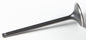 Black Diamond Intake Valve