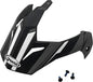 Visor W/Screws Expedition Matte Black/Dark Silver Gm 11