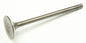 Exhaust Valve