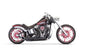 FREEDOM EXHAUST TURNOUT 2:1 HARLEY DAVIDSON SOFTAIL 84-17 - The Speed Shop Canada