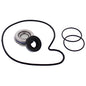 Water Pump Kit Pol