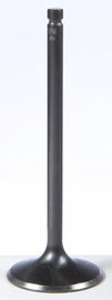 Black Diamond Intake Valve