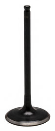 Black Diamond Intake Valve