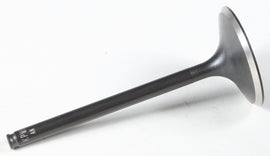 Black Diamond Intake Valve