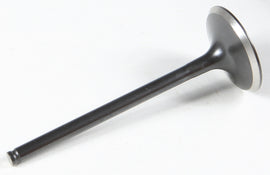 Black Diamond Intake Valve