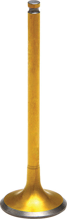 Tensilite Titanium Intake Valve