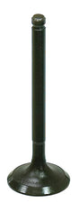 Intake Valve