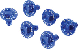 ZETA street fork guard bolt for Kawasaki blue motorcycle, showing the bolt and mounting hardware on a street bike.